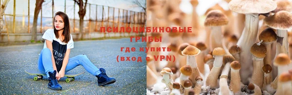 амфетамин Алексин